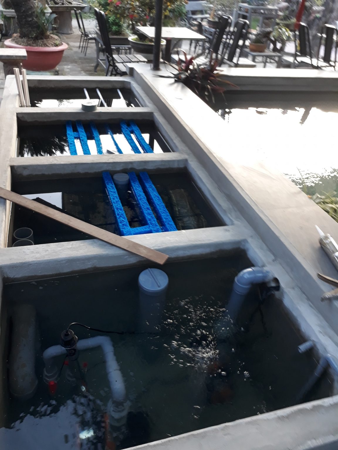Hệ thống lọc hồ cá Koi thông thường